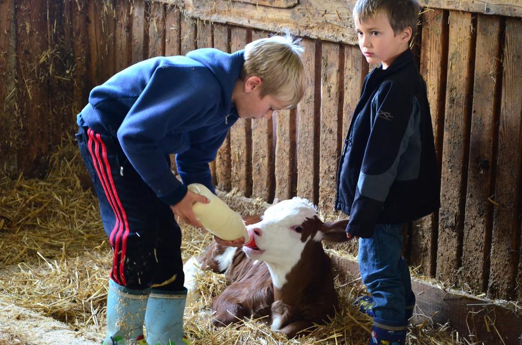 Ferienwohnungen Bachergut Mariapfarr Quarto foto