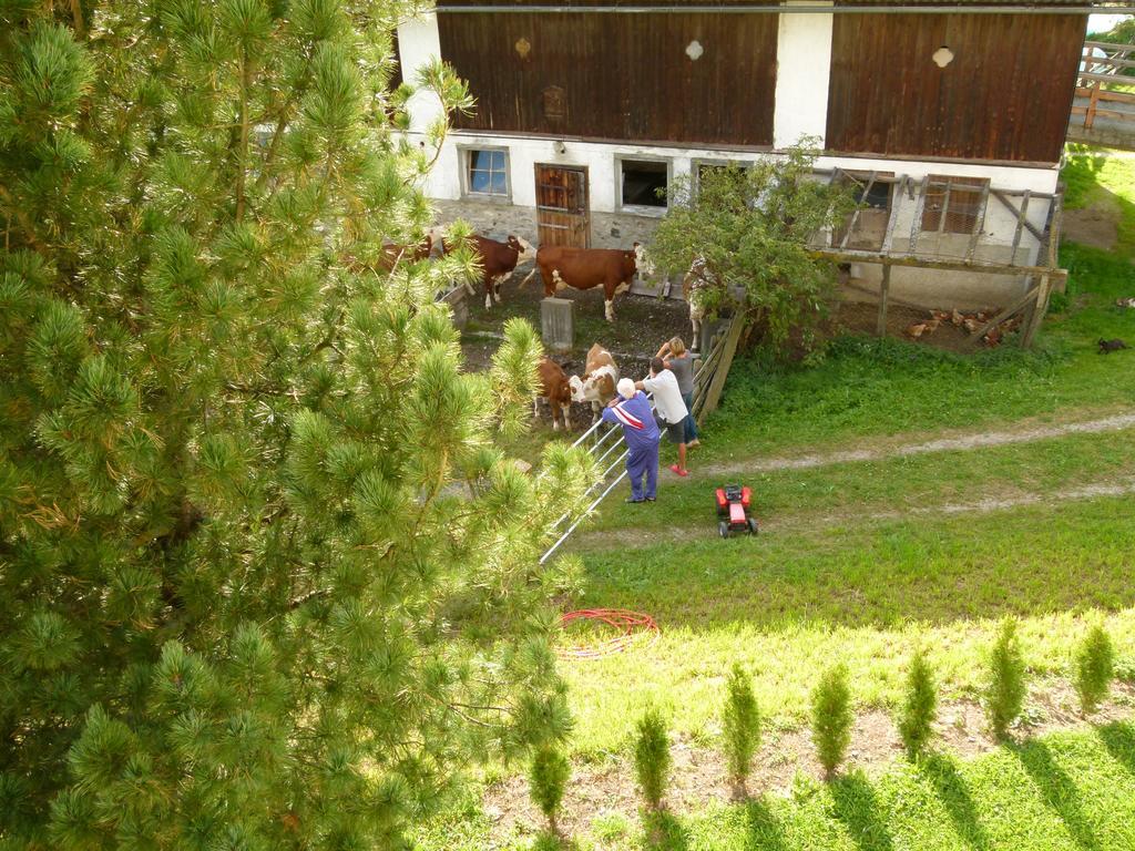 Ferienwohnungen Bachergut Mariapfarr Quarto foto