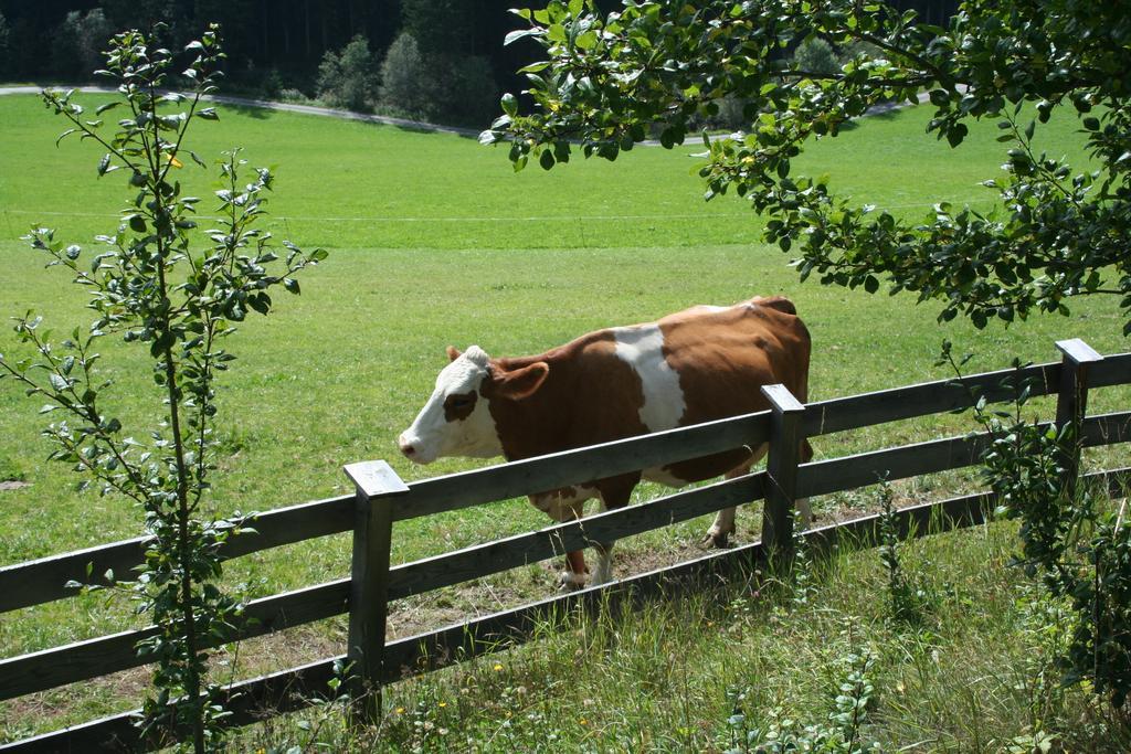 Ferienwohnungen Bachergut Mariapfarr Quarto foto